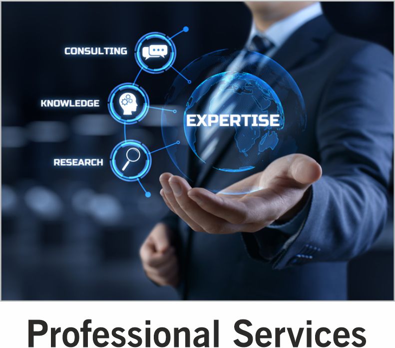 Professional Services